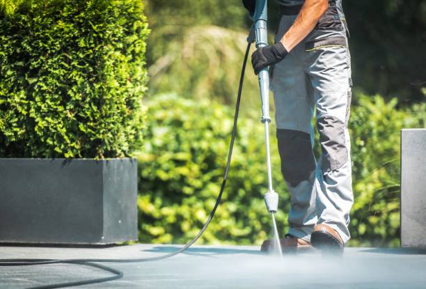 Best Pool Deck Cleaning  in Alb, IA